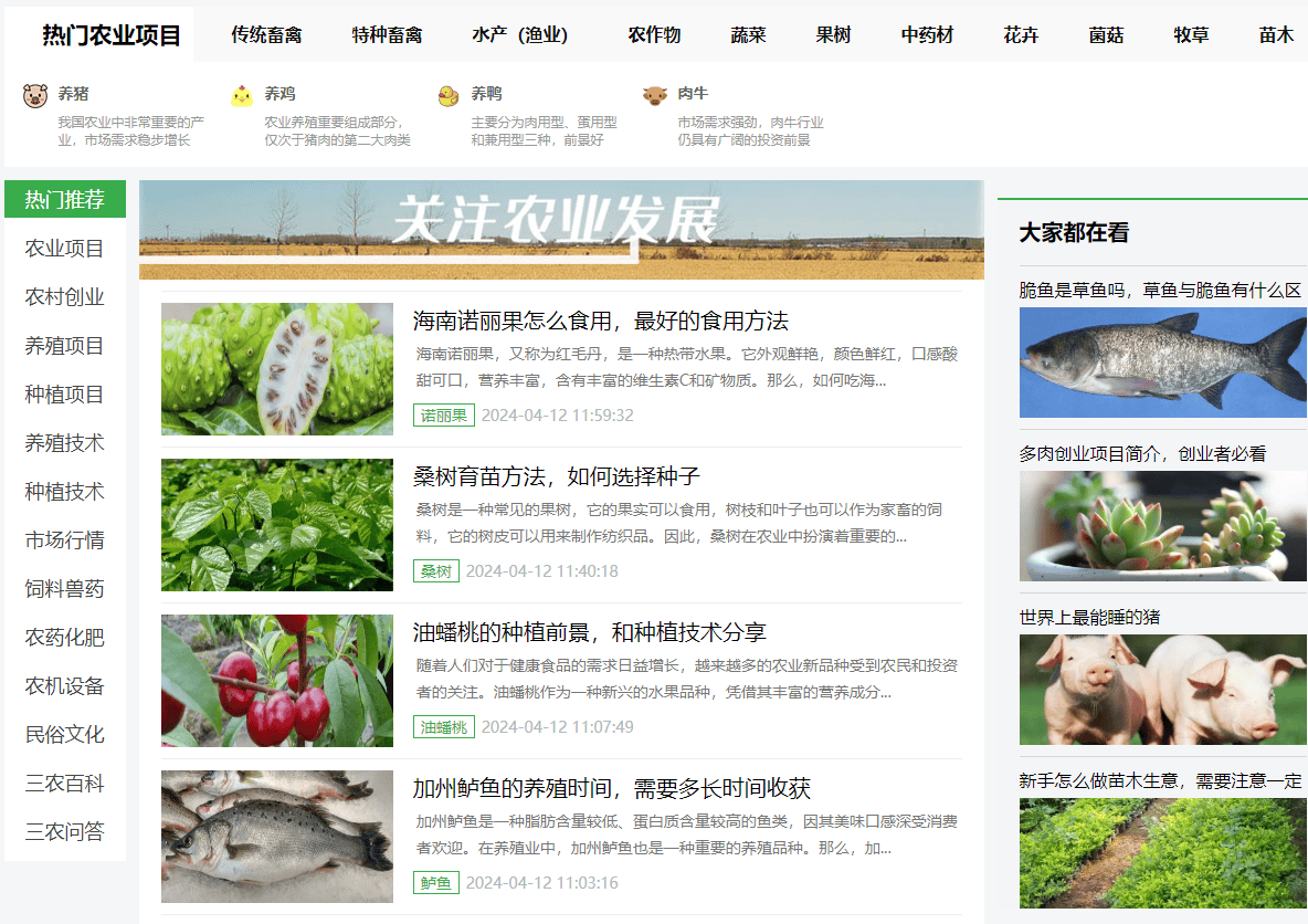 白芷农敢网种植技术，如何实现高产